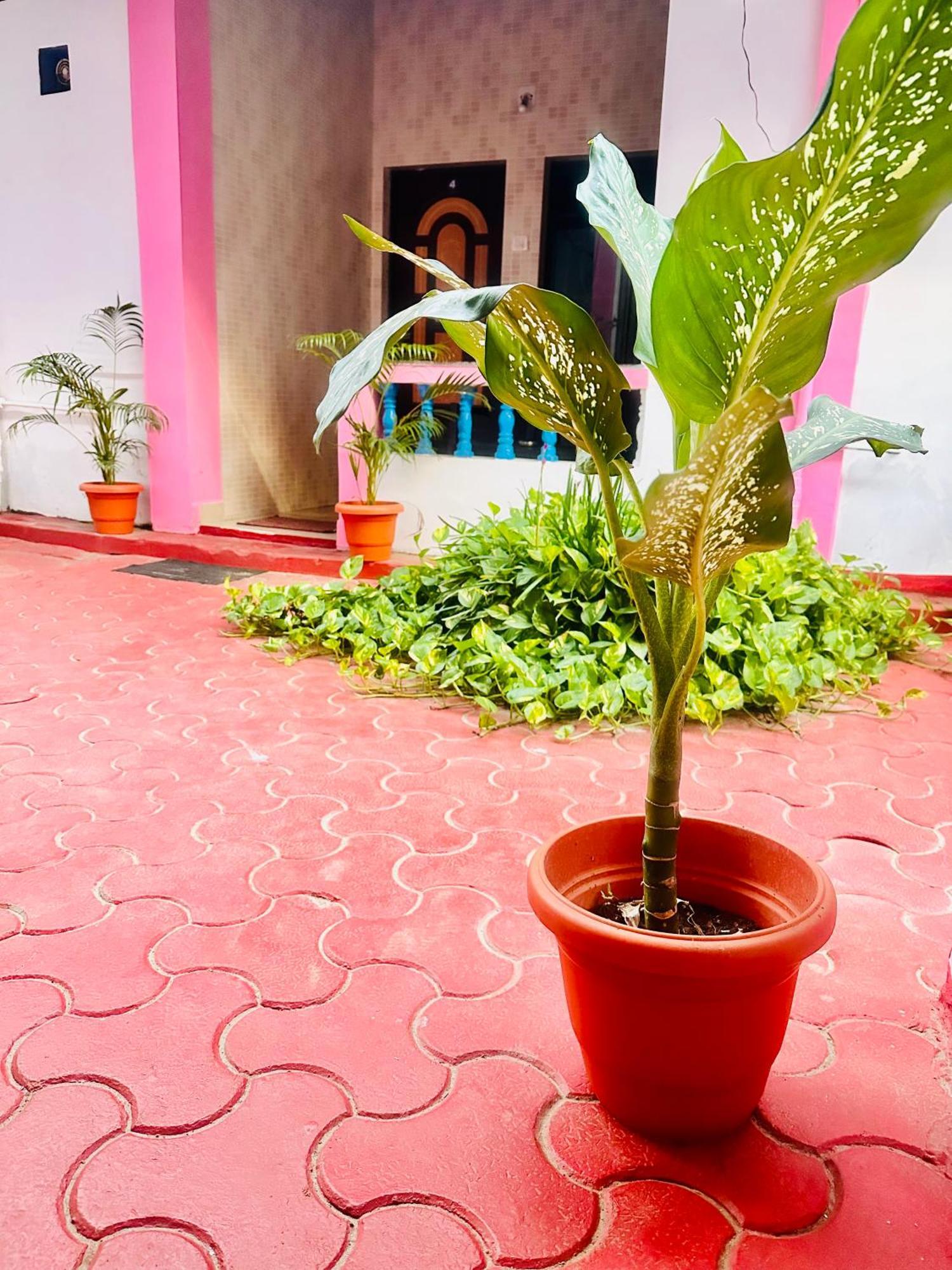 Blue Mirage Palolem Goa Hotel Canacona Eksteriør billede